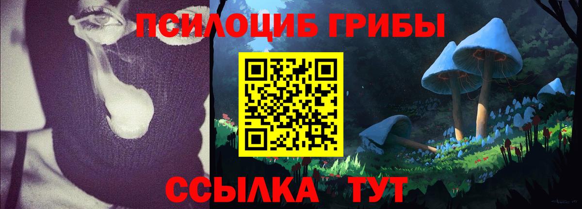 Галлюциногенные грибы Cubensis  Галлюциногенные грибы ЛСД  Озёрск  Вход с VPN 